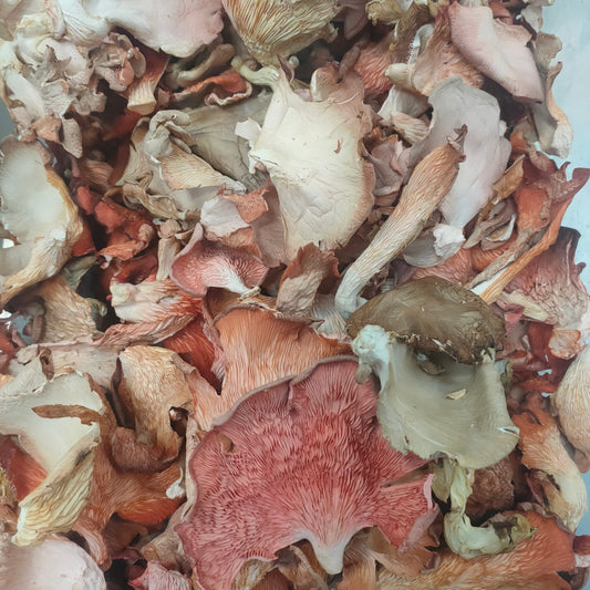 1kg Dried Mixed Mushrooms