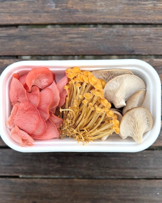 200g Mixed Exotic Box