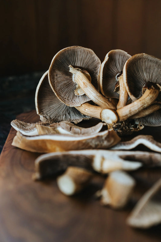 1KG Tawaka Mushrooms