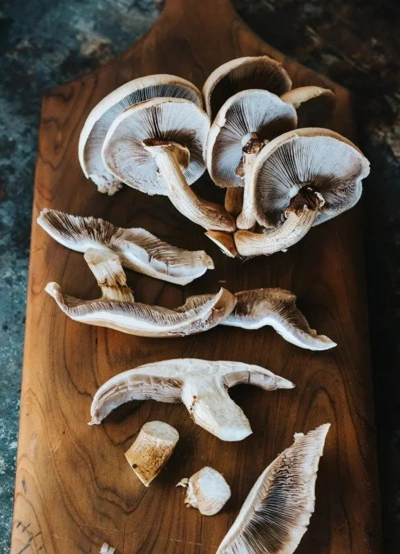 1KG Tawaka Mushrooms